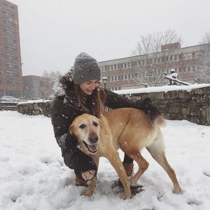 Meet your Posher, Casey